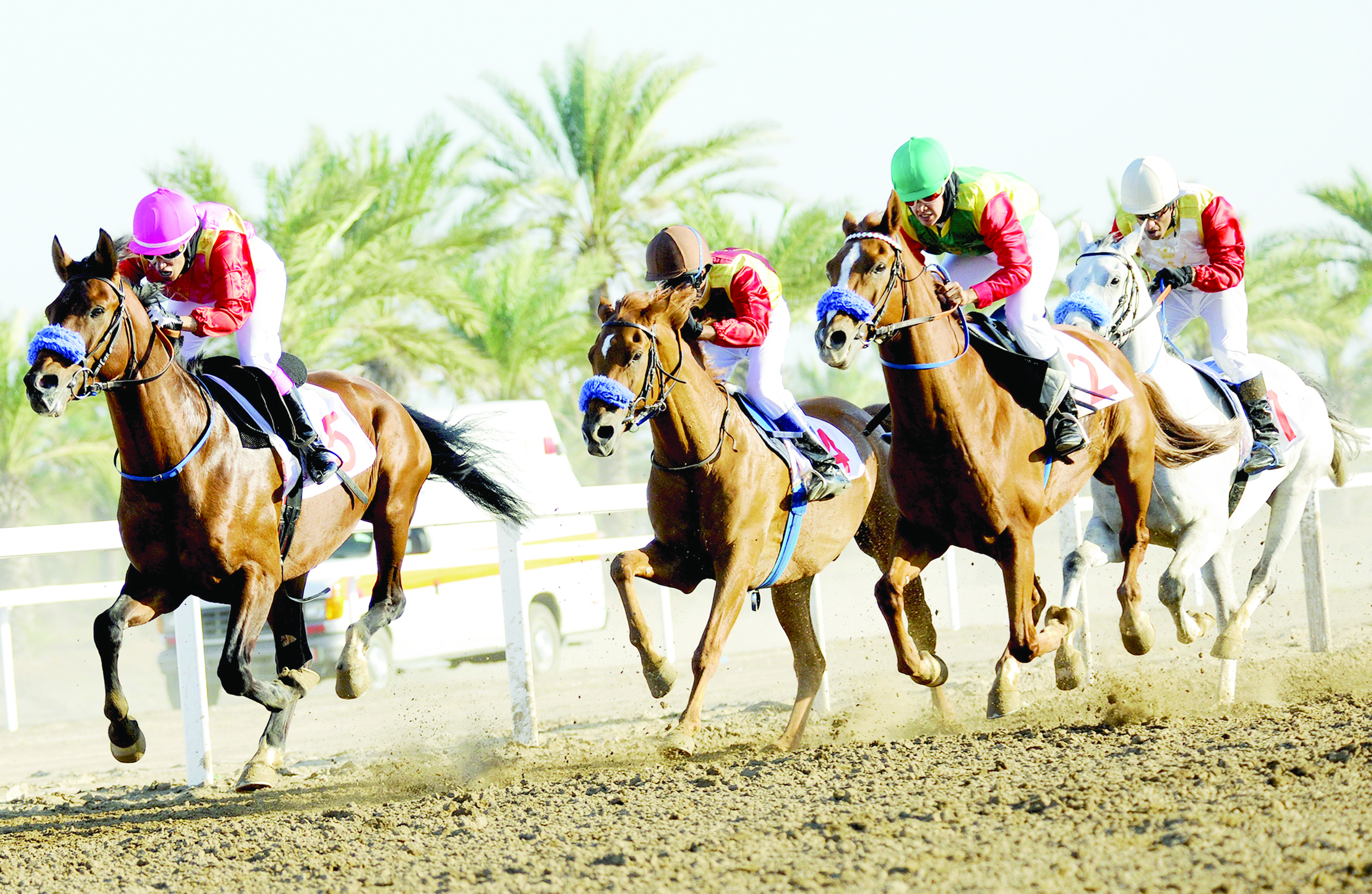 الخميس مضمار الرحبة يشهد سباق الخيل الثاني