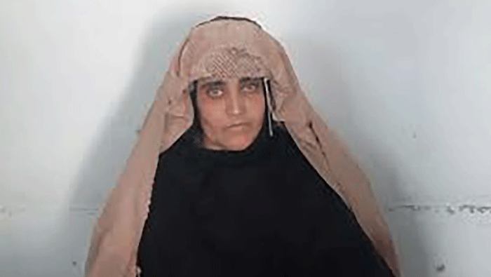 Pakistan arrests "Afghan Girl" from iconic photo, on ID fraud charge