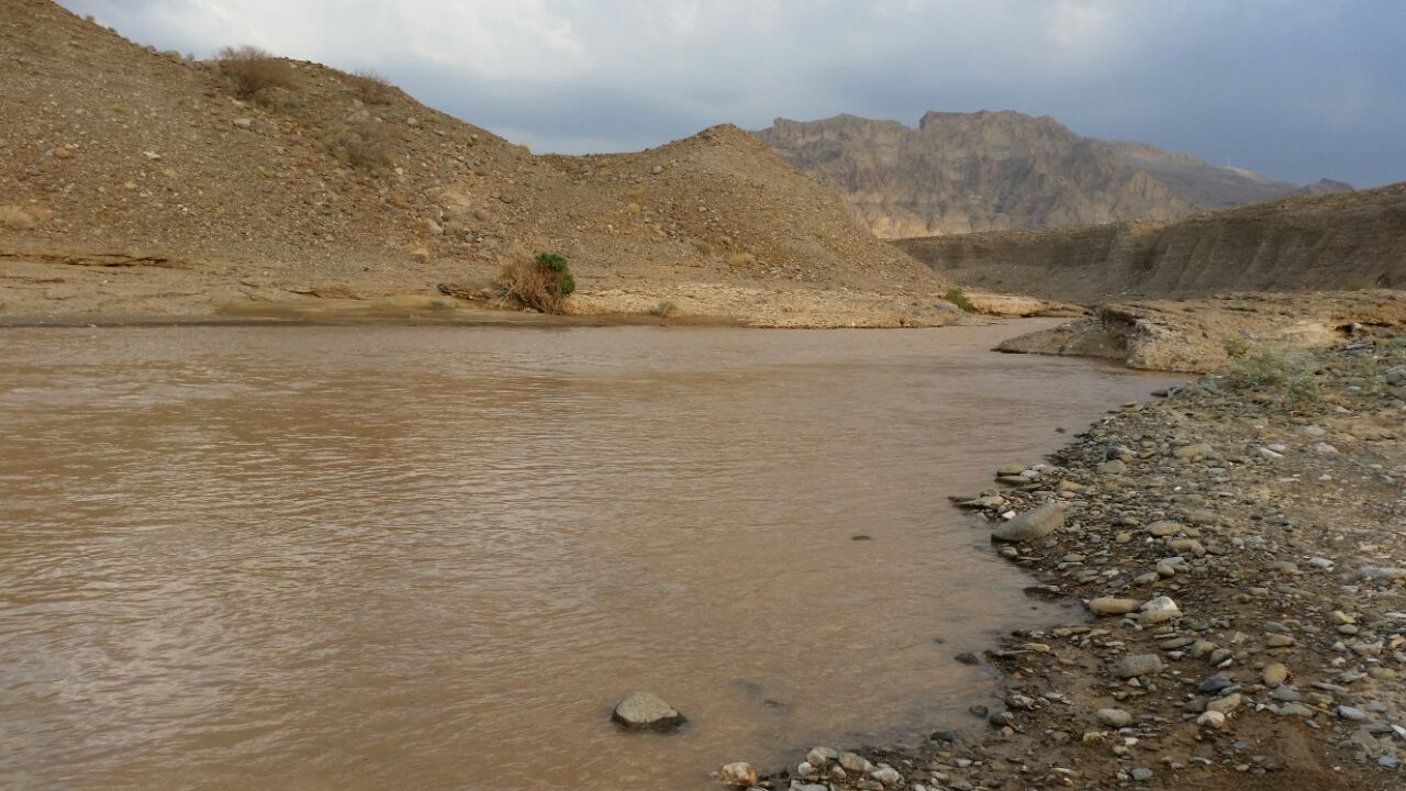 هطول أمطار غزيرة على ولاية ضنك