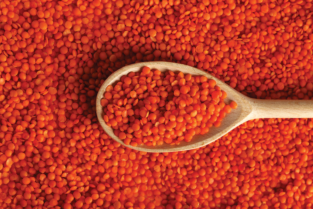 One ingredient five ways: Red lentils