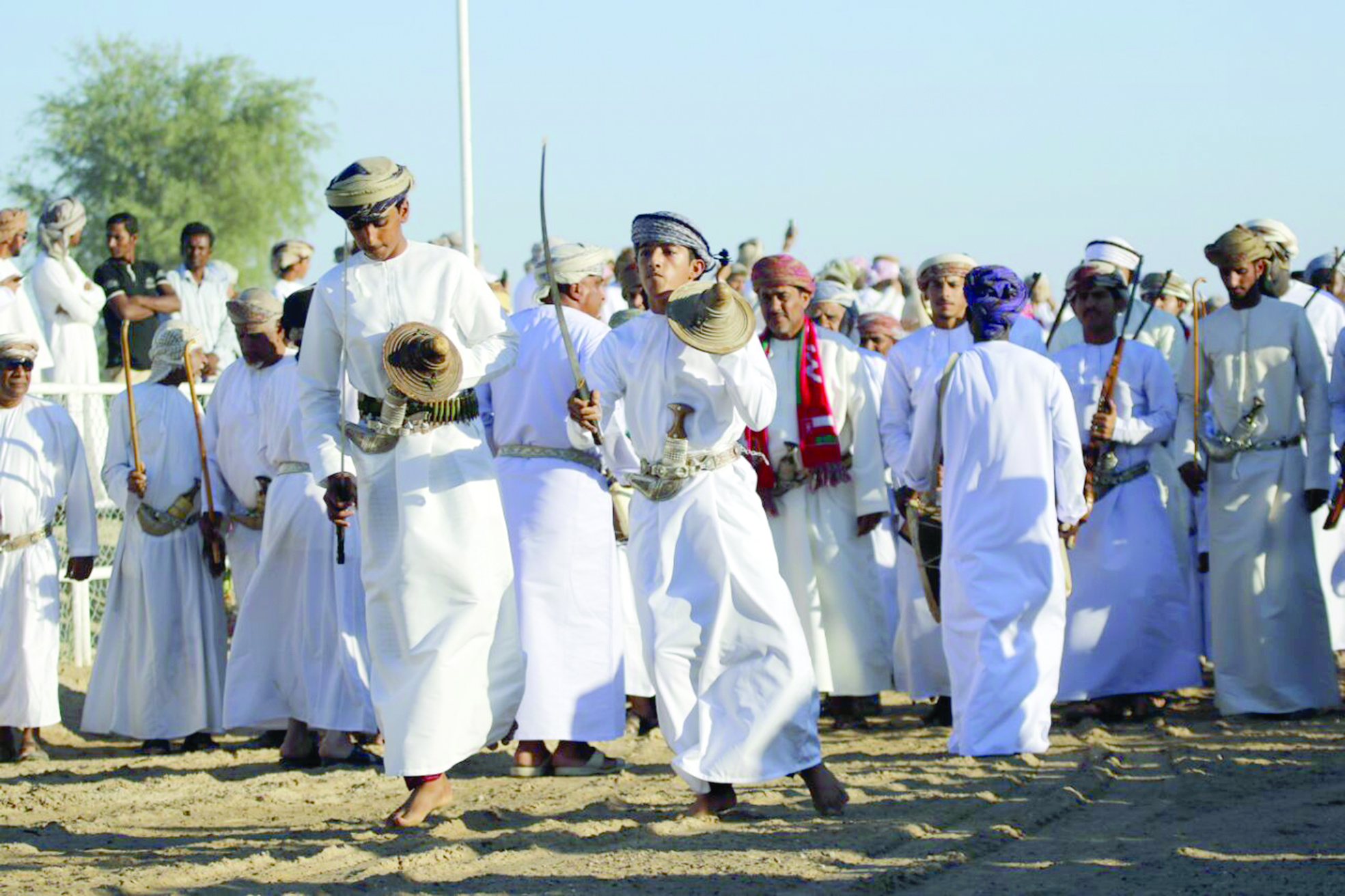 نادي الأصايل للفروسية ينظم مهرجان عرضة الخيل والإبل