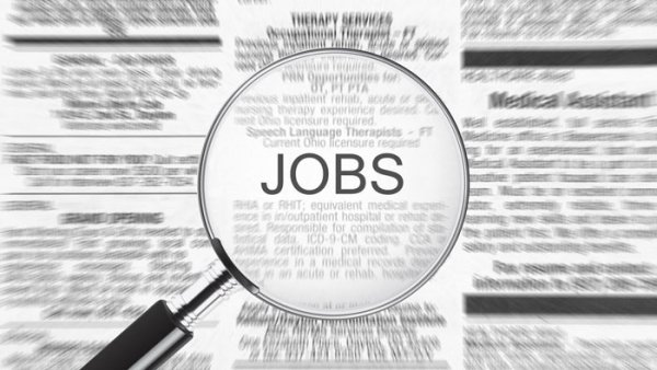 Job postings in Oman fall in October