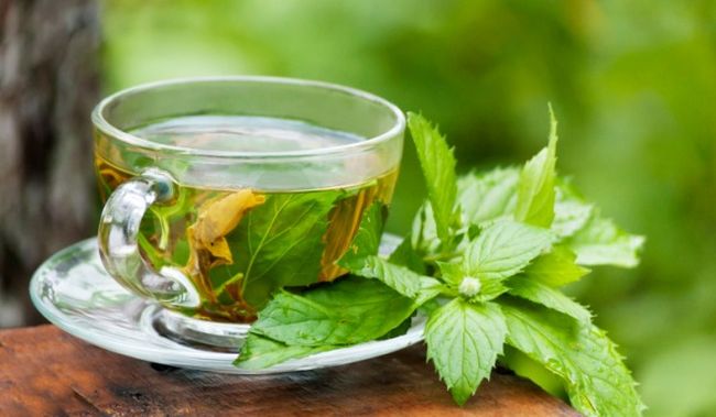 الشاي الأخضر قد يخفف من تلف الكلى الناجم عن تناول العقاقير المكافحة للسرطان