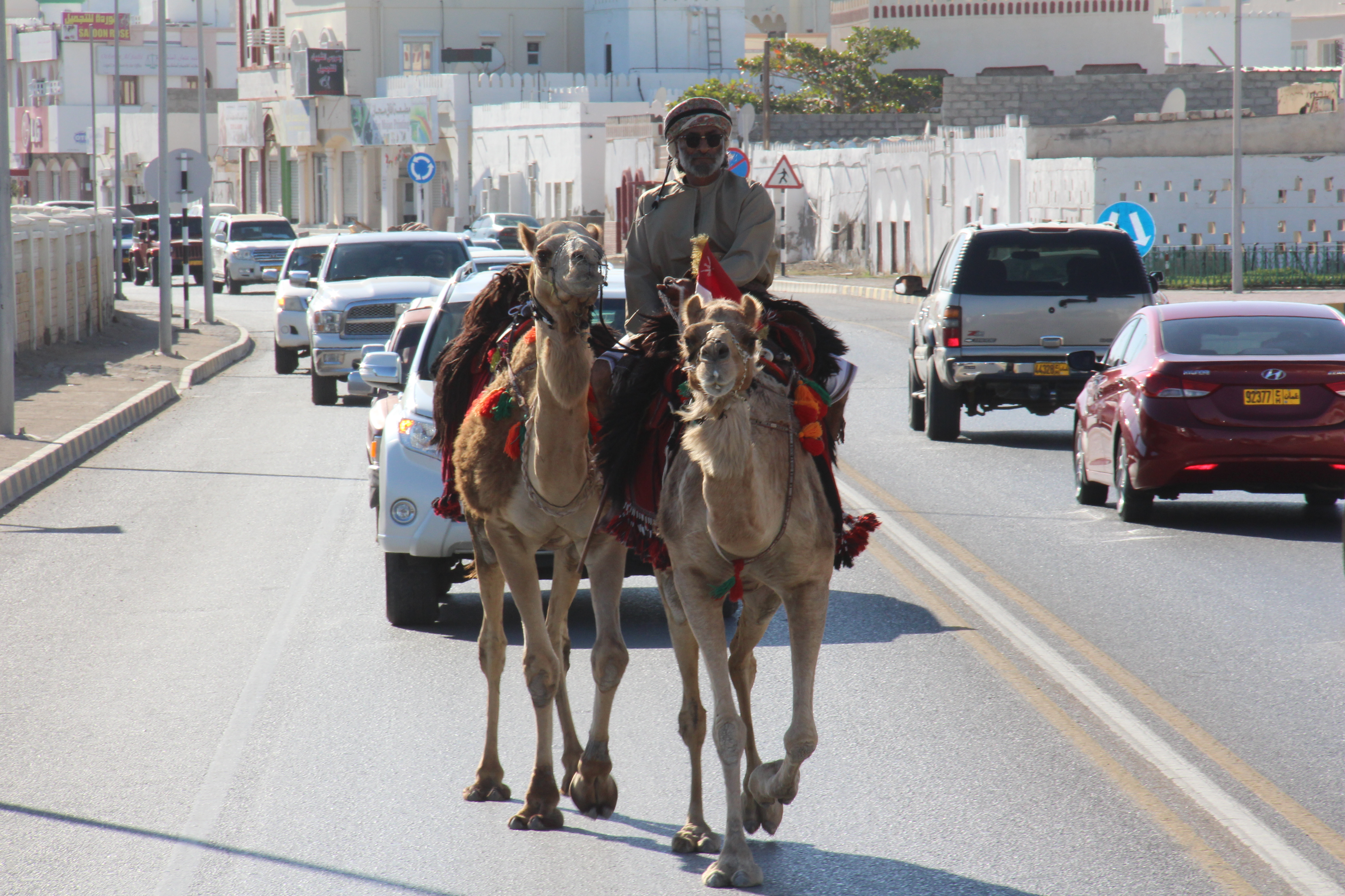 Ahmed Al Mahrouqi and his Camel Riding Trip in Oman