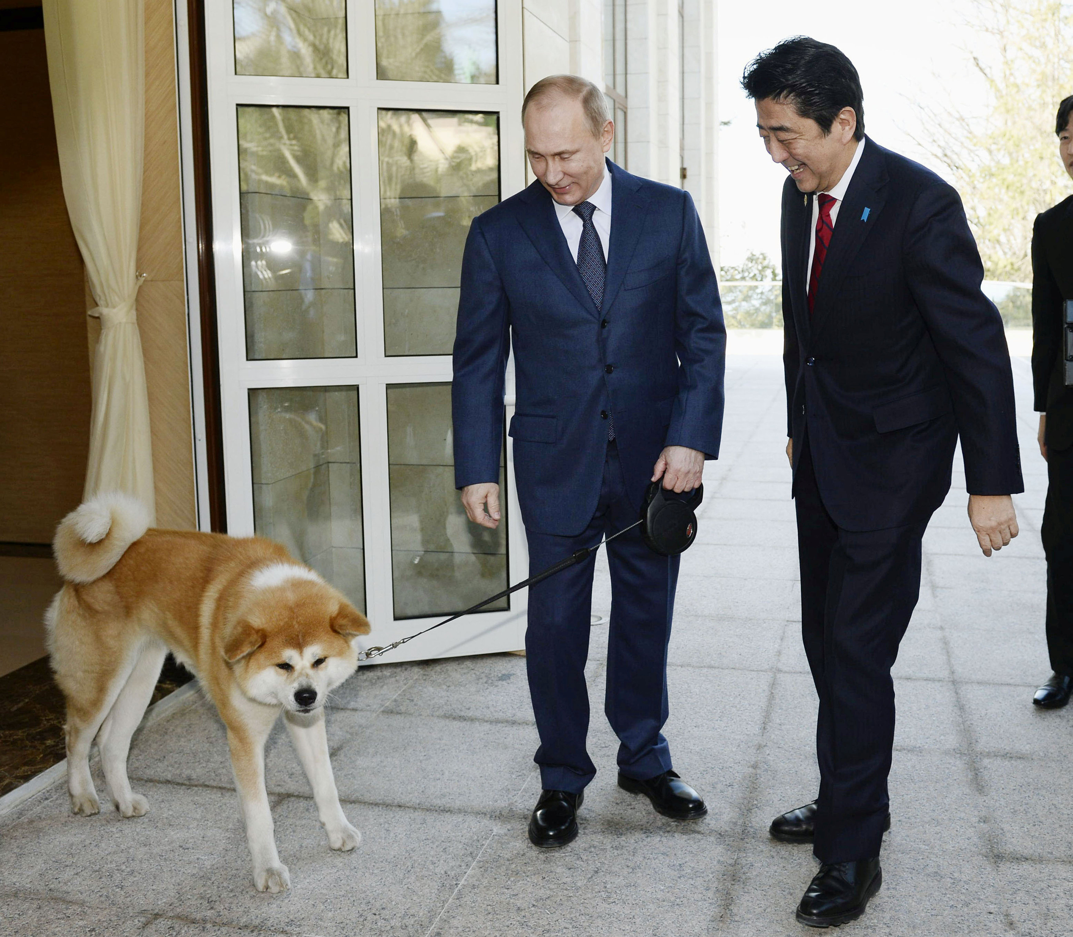 Russia declines Japanese dog diplomacy ahead of summit