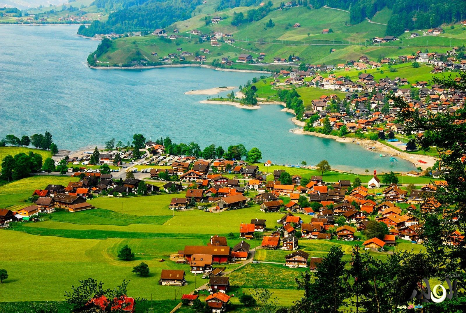 هل تريد العيش في سويسرا؟