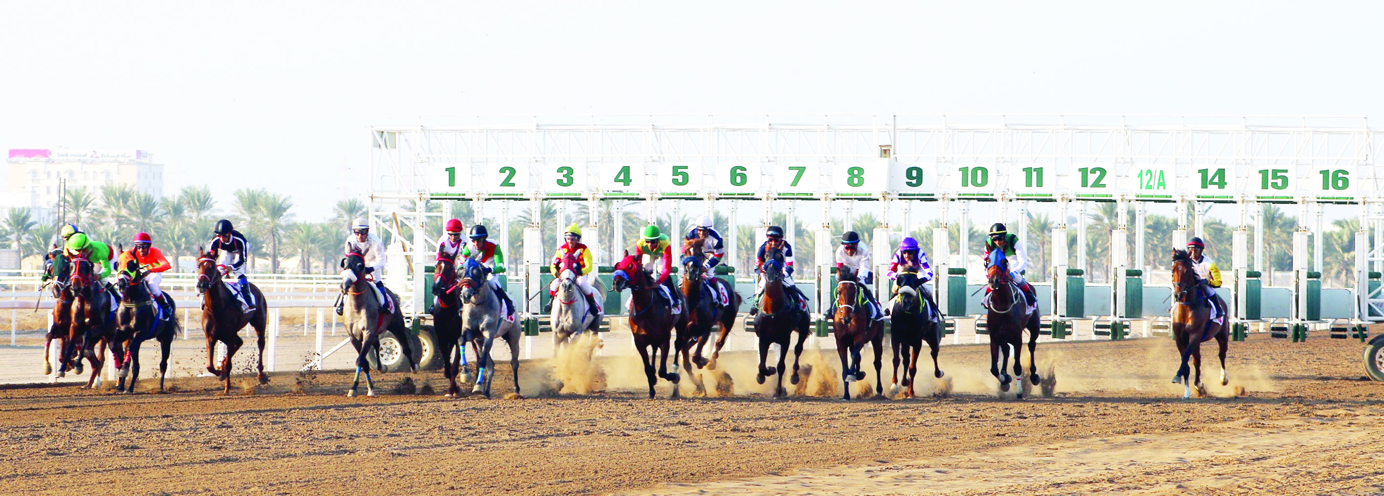 8 أشواط مثيرة في السباق السابع للخيل