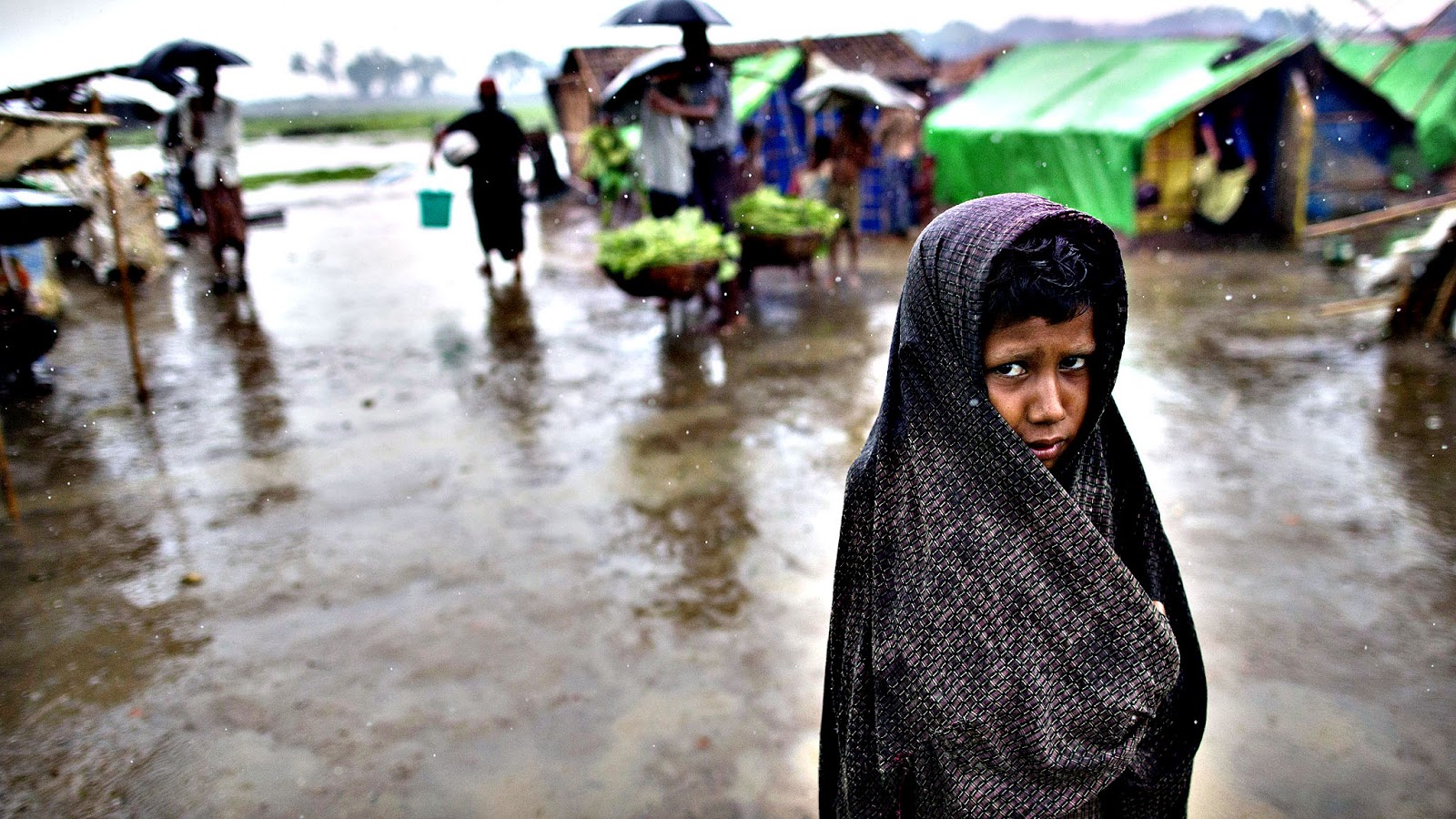 شيخ الأزهر يعرب عن استعداده للتوسُّط لوقف مذابح مسلمي ميانمار‎‎