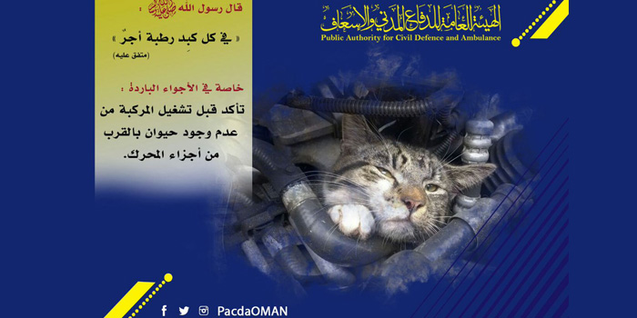 Check for cats under the hood, Oman's PACDA warns