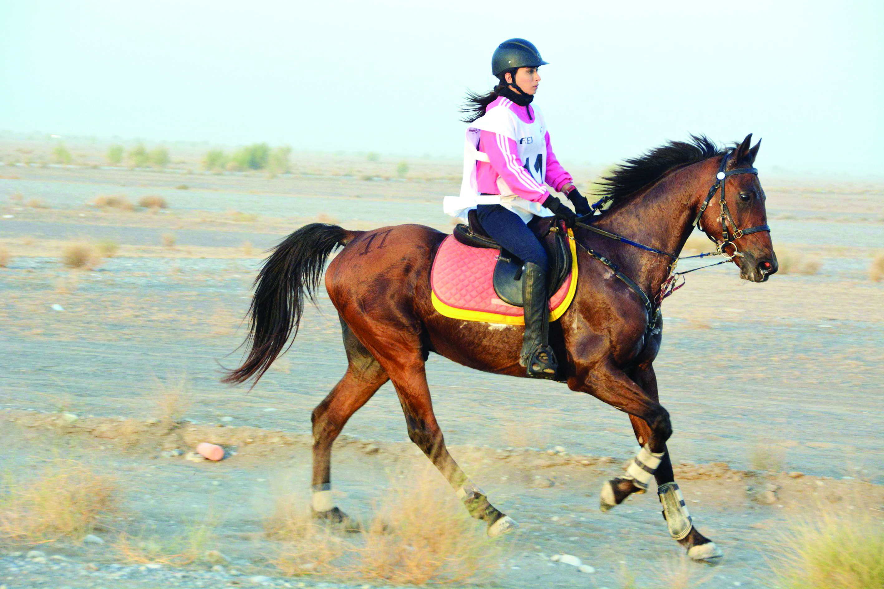 في مسابقة الفتيات للقدرة والتحمل 

اتحاد الفروسية يرصد 14 ألف ريال عماني للفائزات