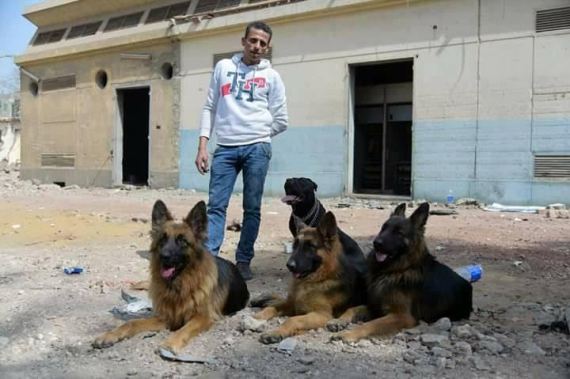 الكنز الذي اكتشفه شباب مصريون: ازدهار تجارة الكلاب والفضل للدولار