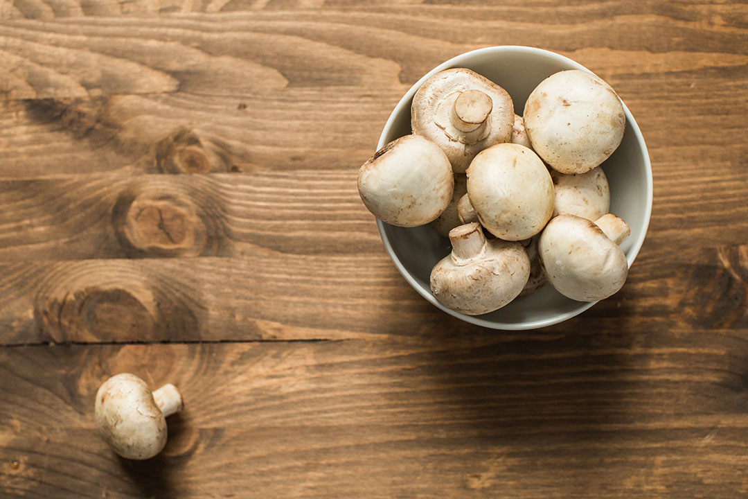 One ingredient five ways: Mushroom
