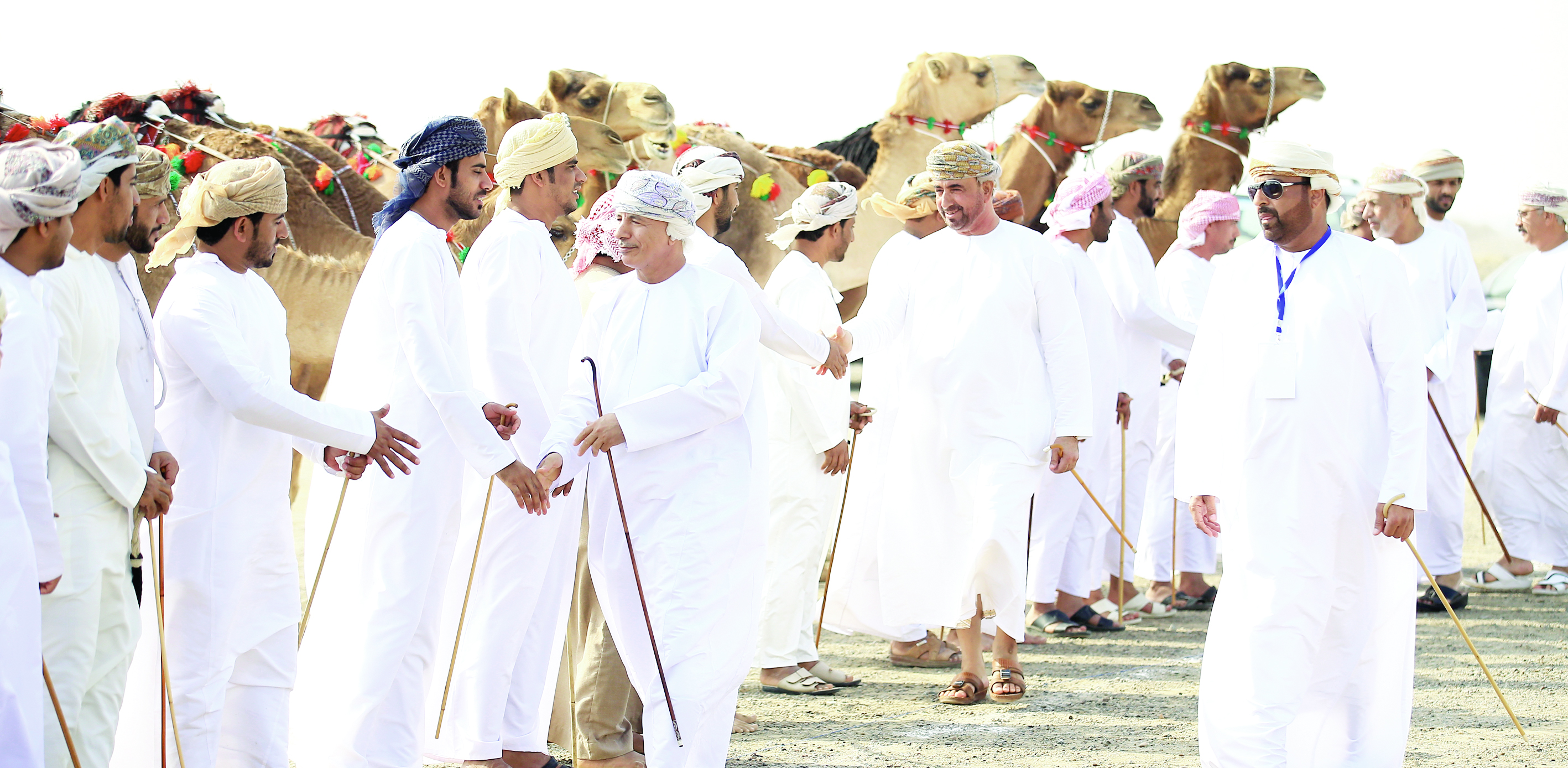 انطلاق مهرجان النعيمي السابع عشر بميدان سيح الطيبات