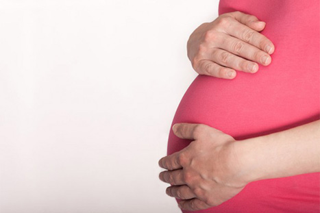 ما هي جرثومة الحمل؟
