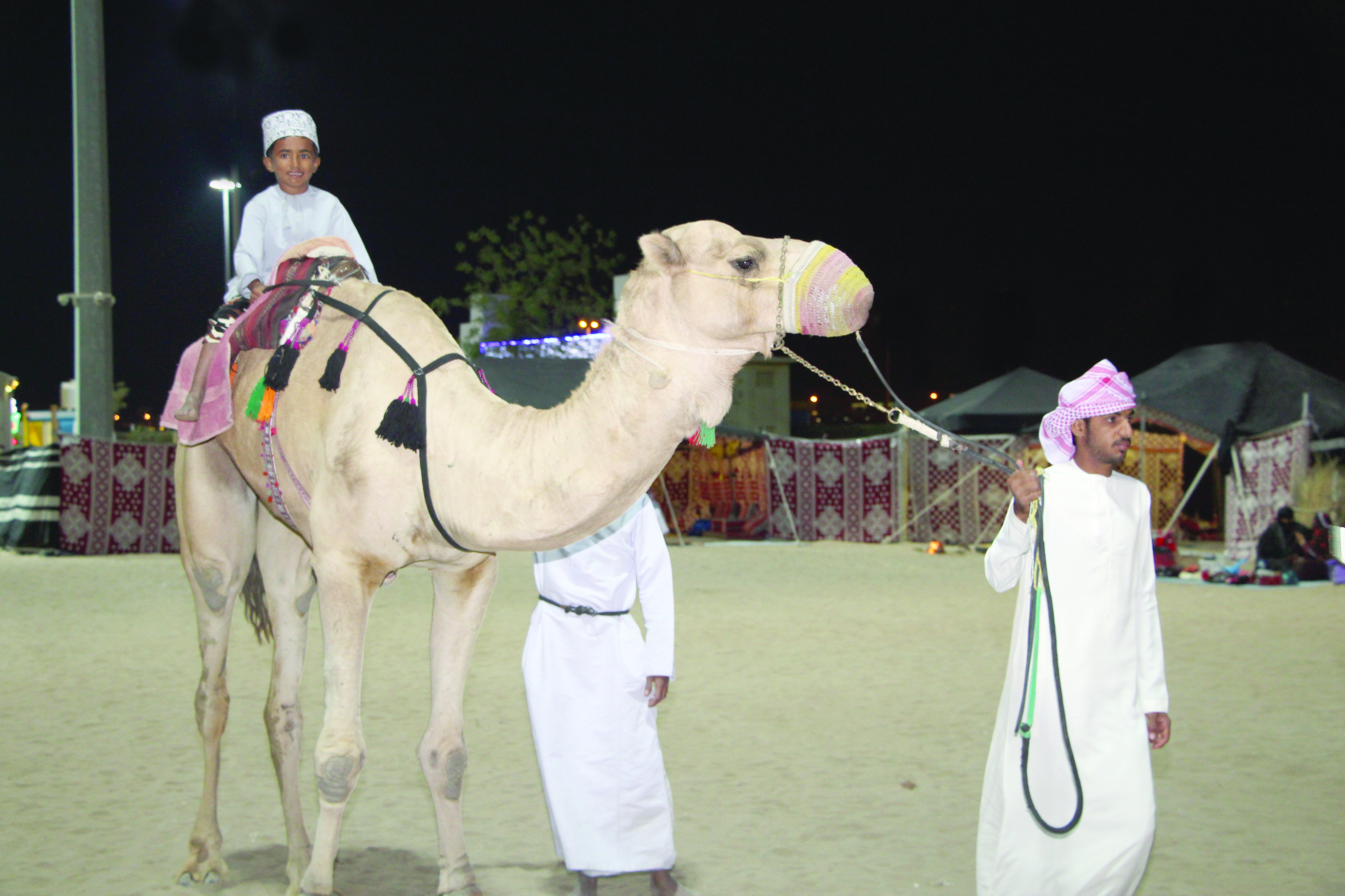 "ركوب الجمال" يستقطب الأطفال