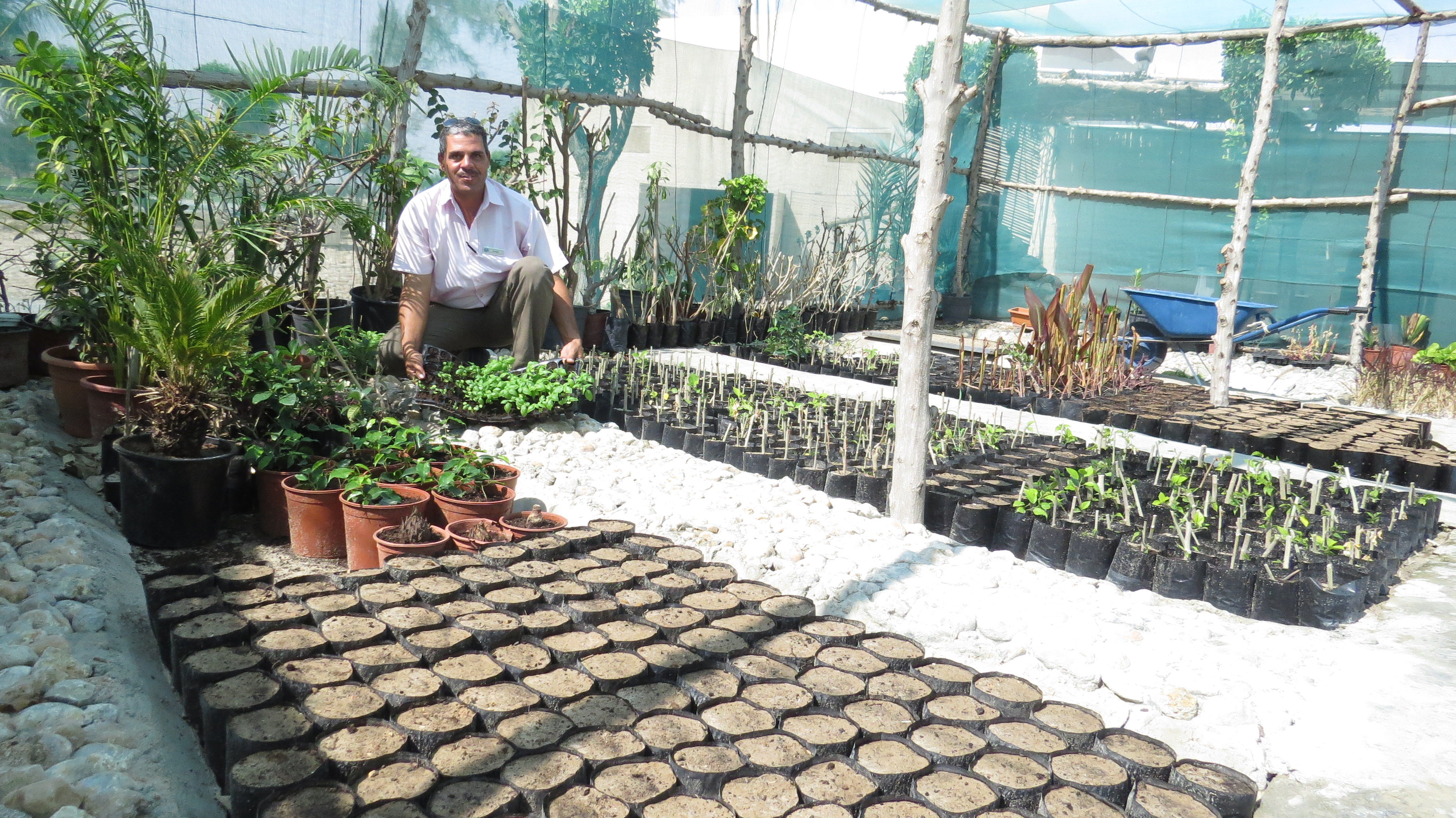 Oman environment: Salalah Rotana sets up plant nursery to boost sustainability