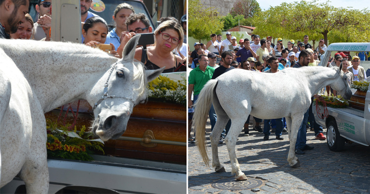 صور مؤثرة لحصان يبكي على وفاة صاحبه ويُشيعه إلى القبر