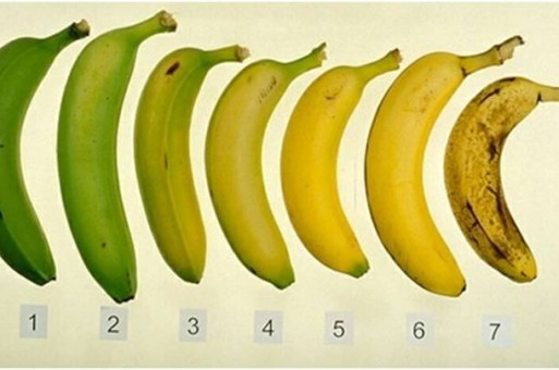 أي رقم يجب أن تختار عندما تشتري الموز؟