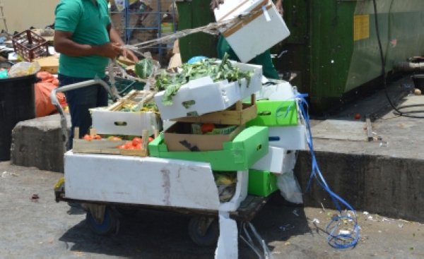 Oman environment: Landfill inaugurated