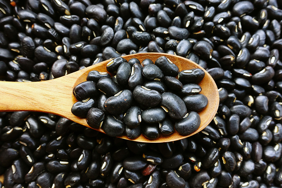 One ingredient five ways: Black beans