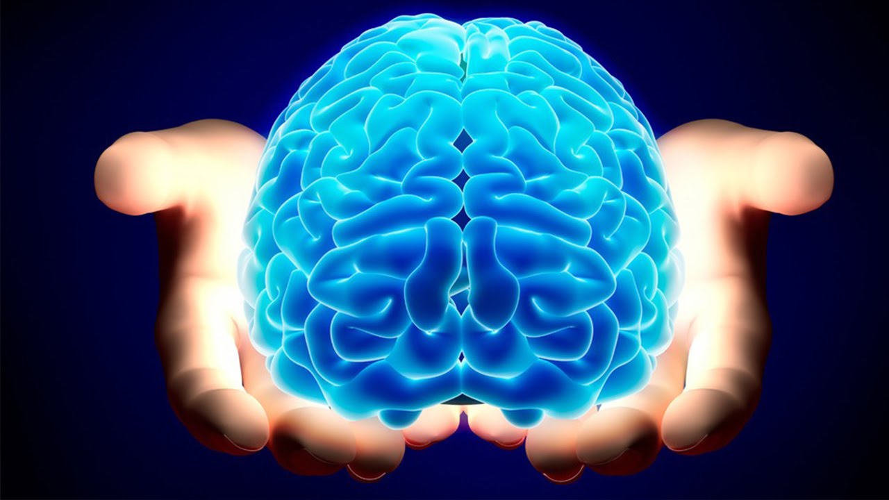8 حقائق مثيرة لا تعرفها عن العقل البشري