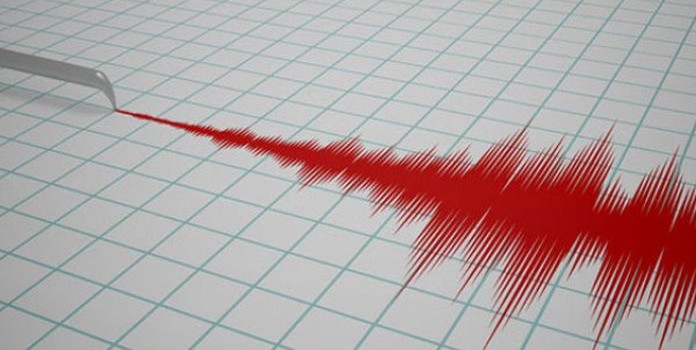 Earthquake hits northern India, no immediate reports of damage
