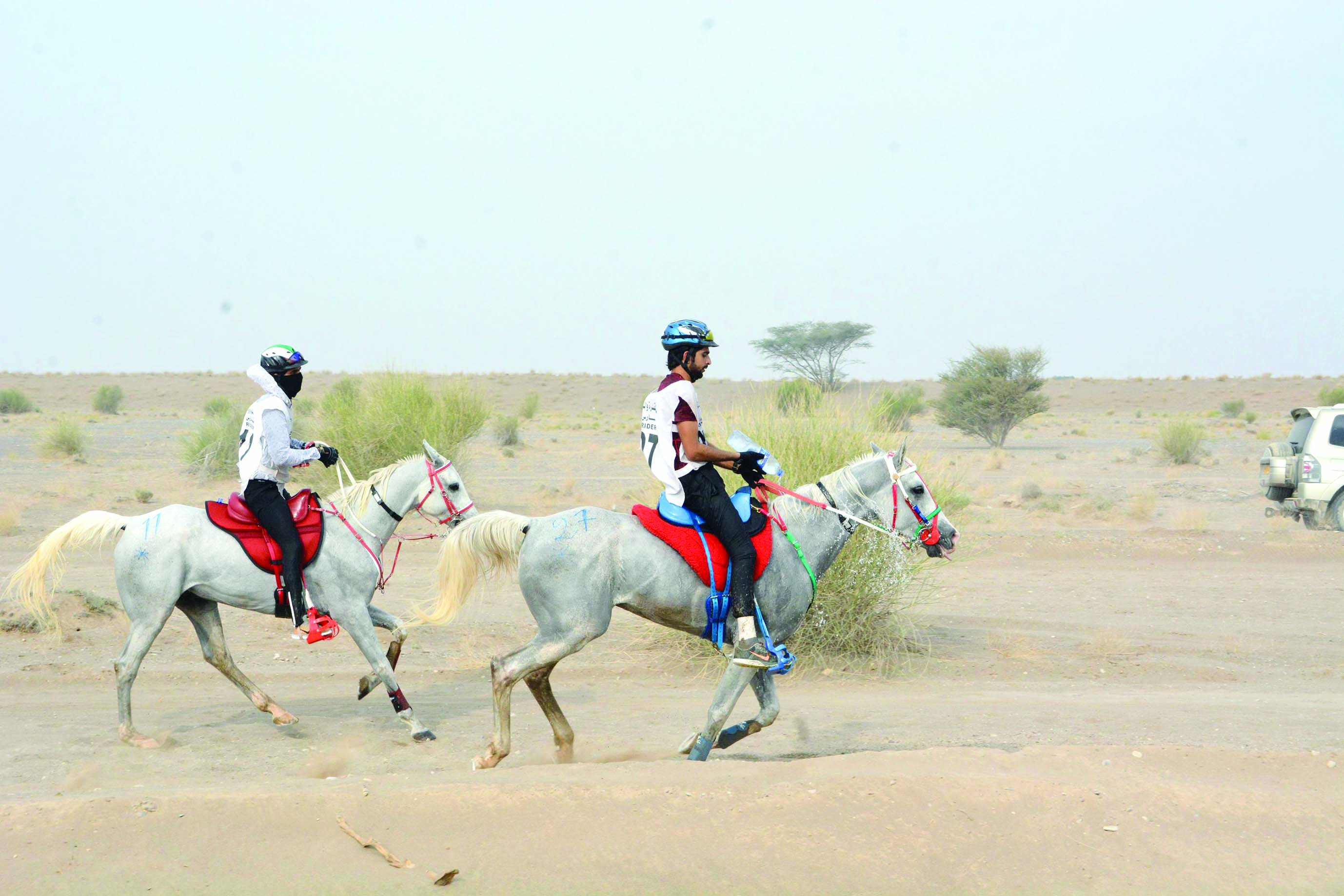 اتحاد الفروسية يعلن عن بدء التسجيل لمسابقة القدرة والتحمل للناشئين