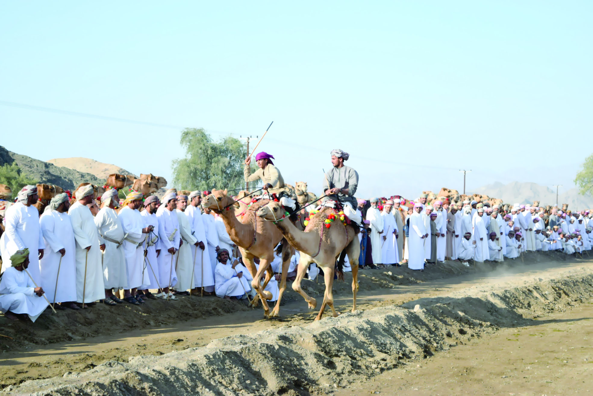 مشاركة واسعة في مهرجان      وادي الفرس الثالث لركض العرضة