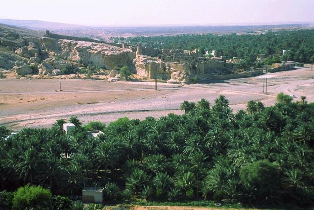 30 شركة تعرض 4800 فرصة عمل بولاية ضنك