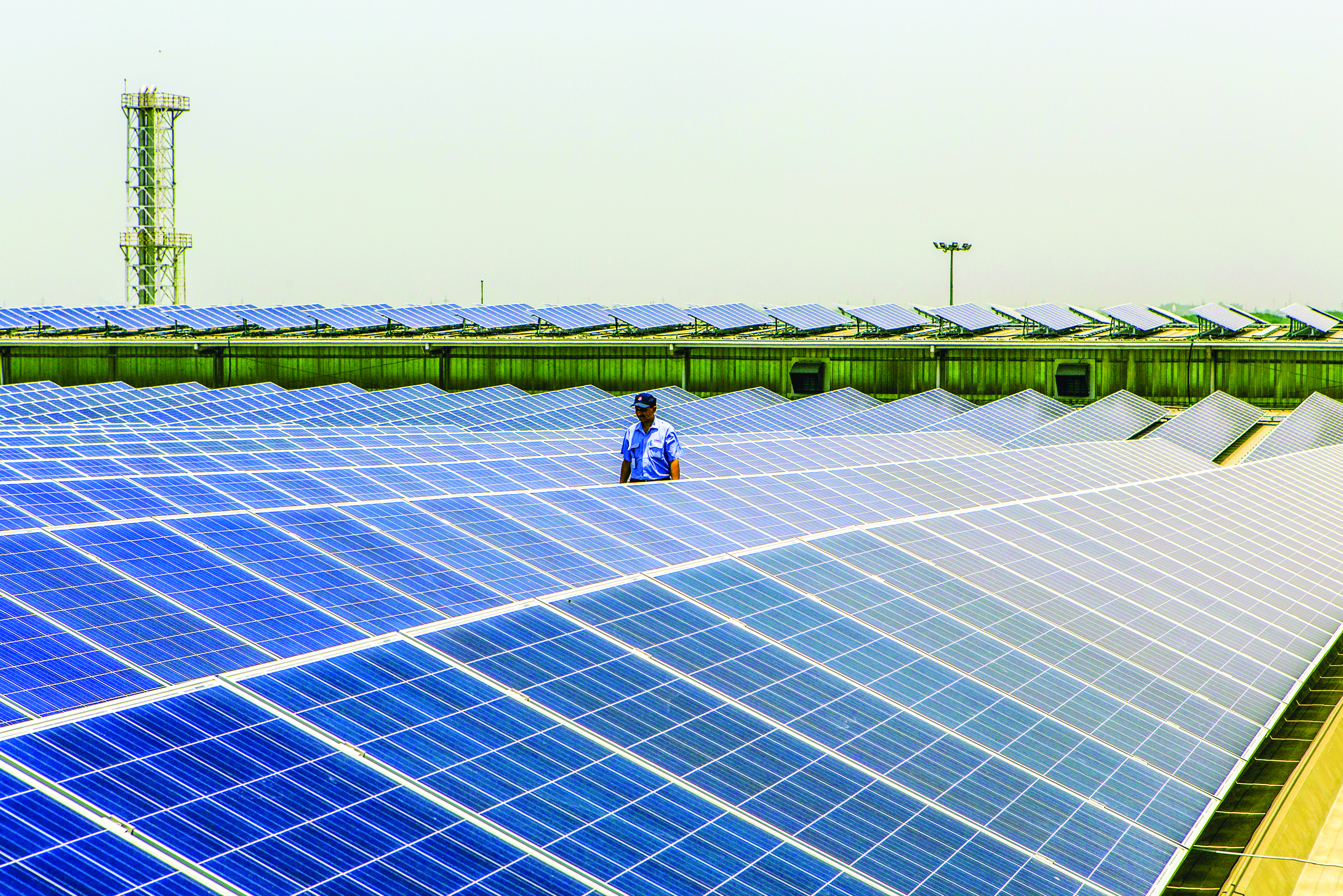 Dubai starts desert solar plant as part of world's biggest park