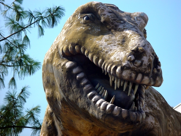 علماء جيولوجيا يكتشفون حديقة ديناصورات في أستراليا