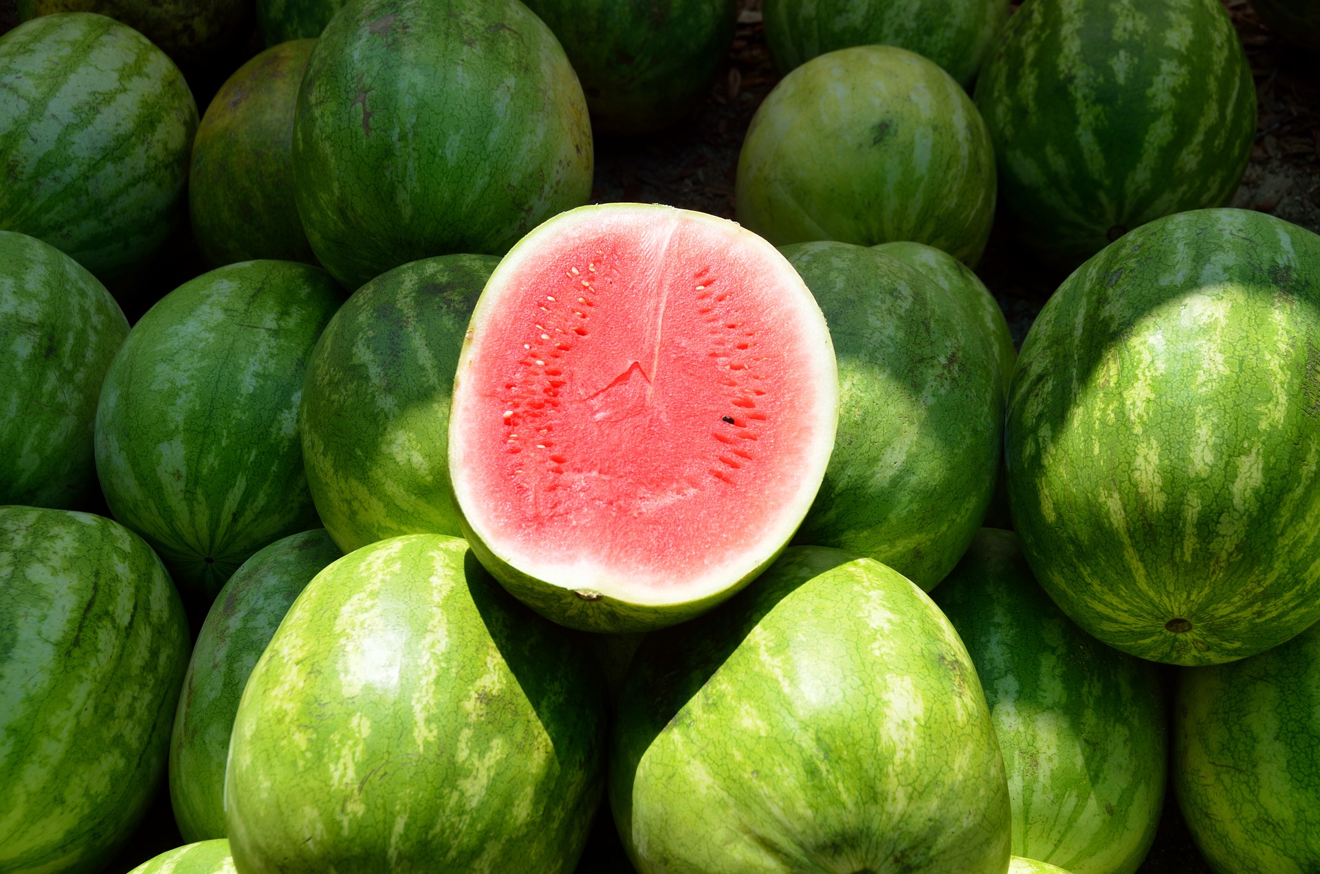 7 أشياء لا تعرفها عن البطيخ
