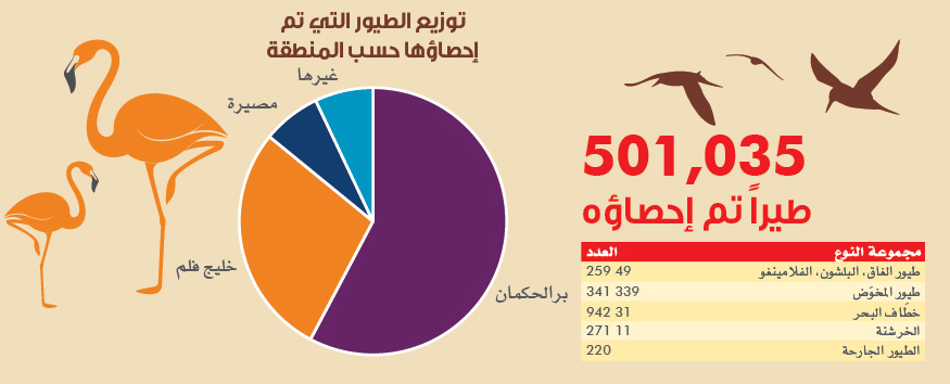 ماذا تعرف عن الطيور المائية في جزيرة بر الحكمان؟