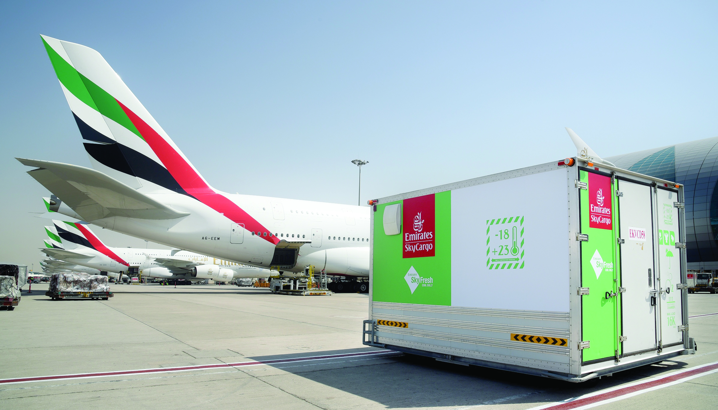 «الإمارات للشحن الجوي» توفر منتجات «سكاي فريش»