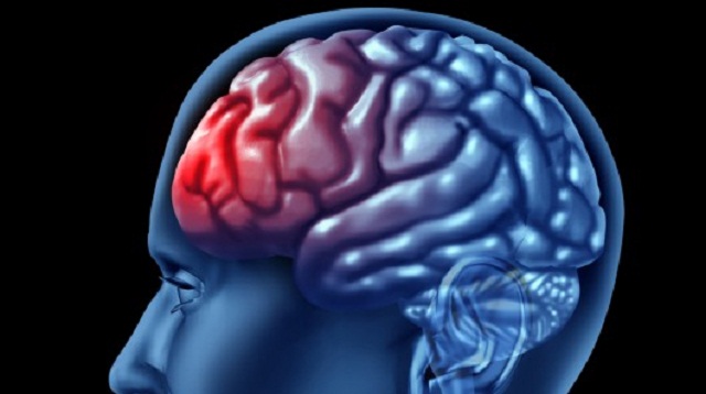 نقص الأوكسجين في الدماغ يمكن أن يحد من الإصابة بأمراض الميتوكوندريا