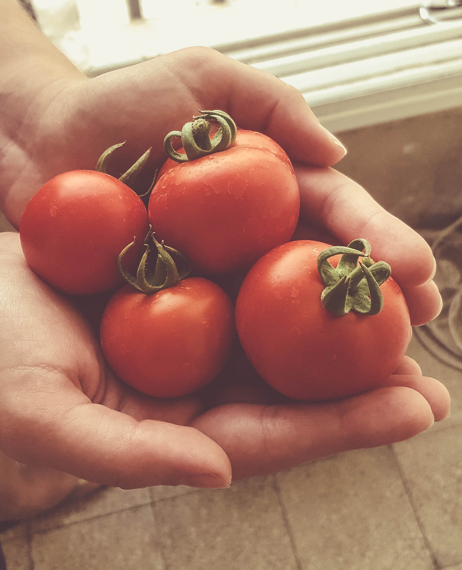 الطماطم سرّ البشرة المثالية