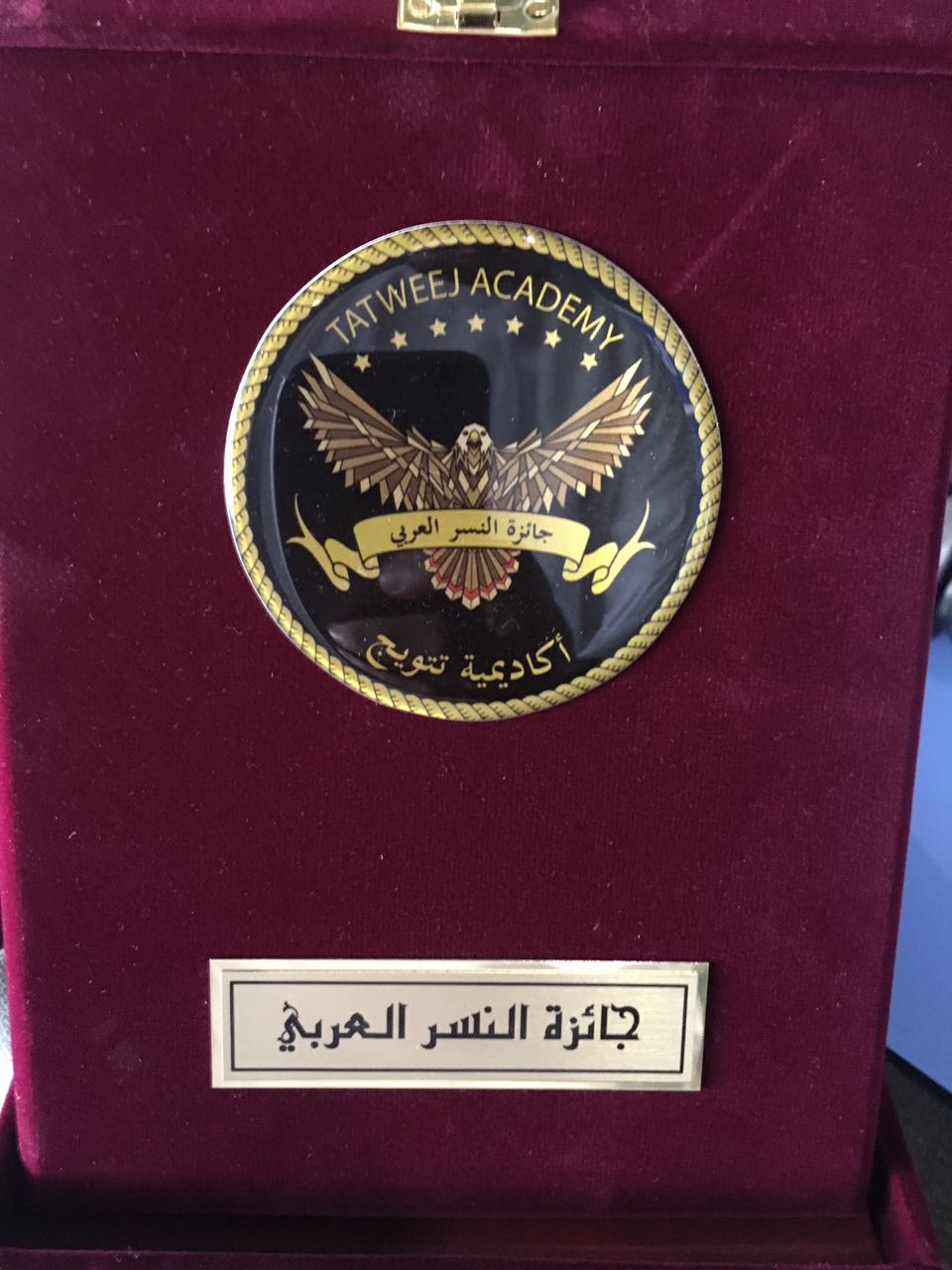 رئيس مجلس إدارة غرفة تجارة وصناعة عمان يفوز بجائزة النسر العربي