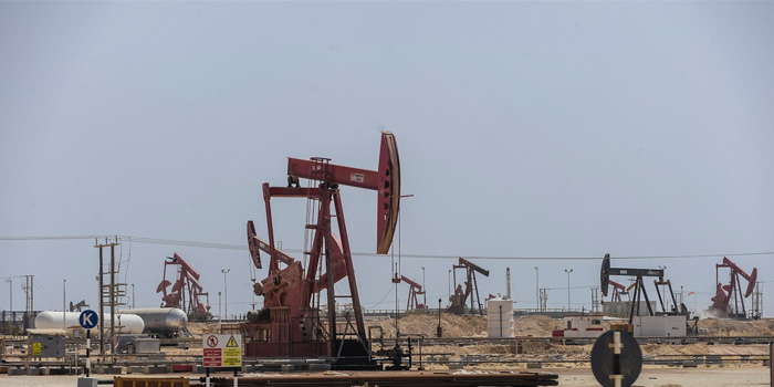 Oman's oil minister backs extending cap on crude production