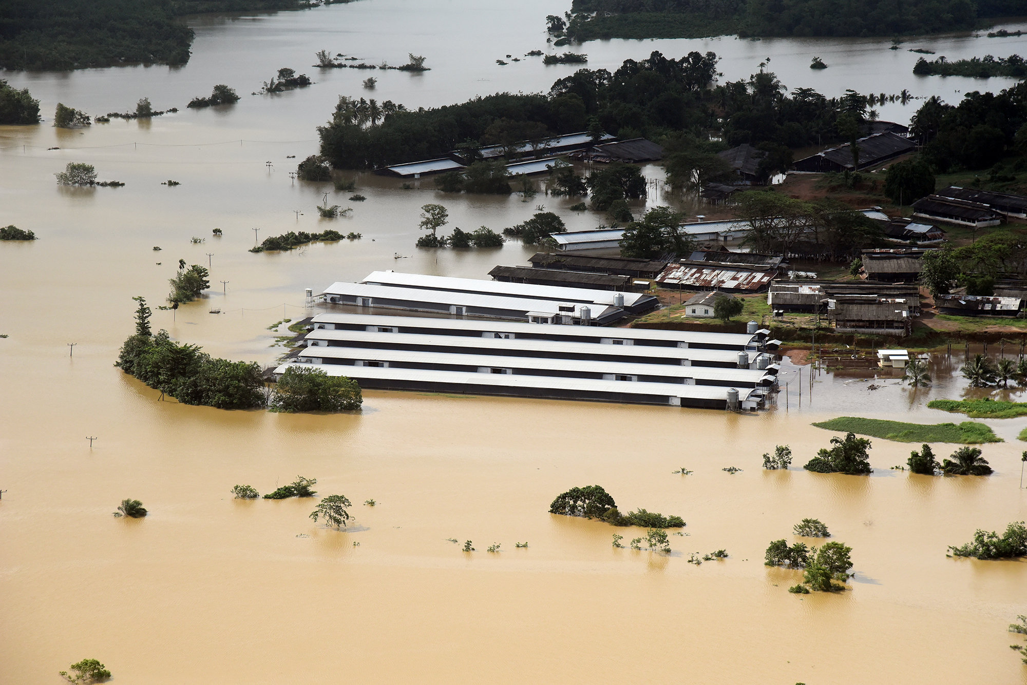 As disaster hits again, early warning text messages fly in Sri Lanka