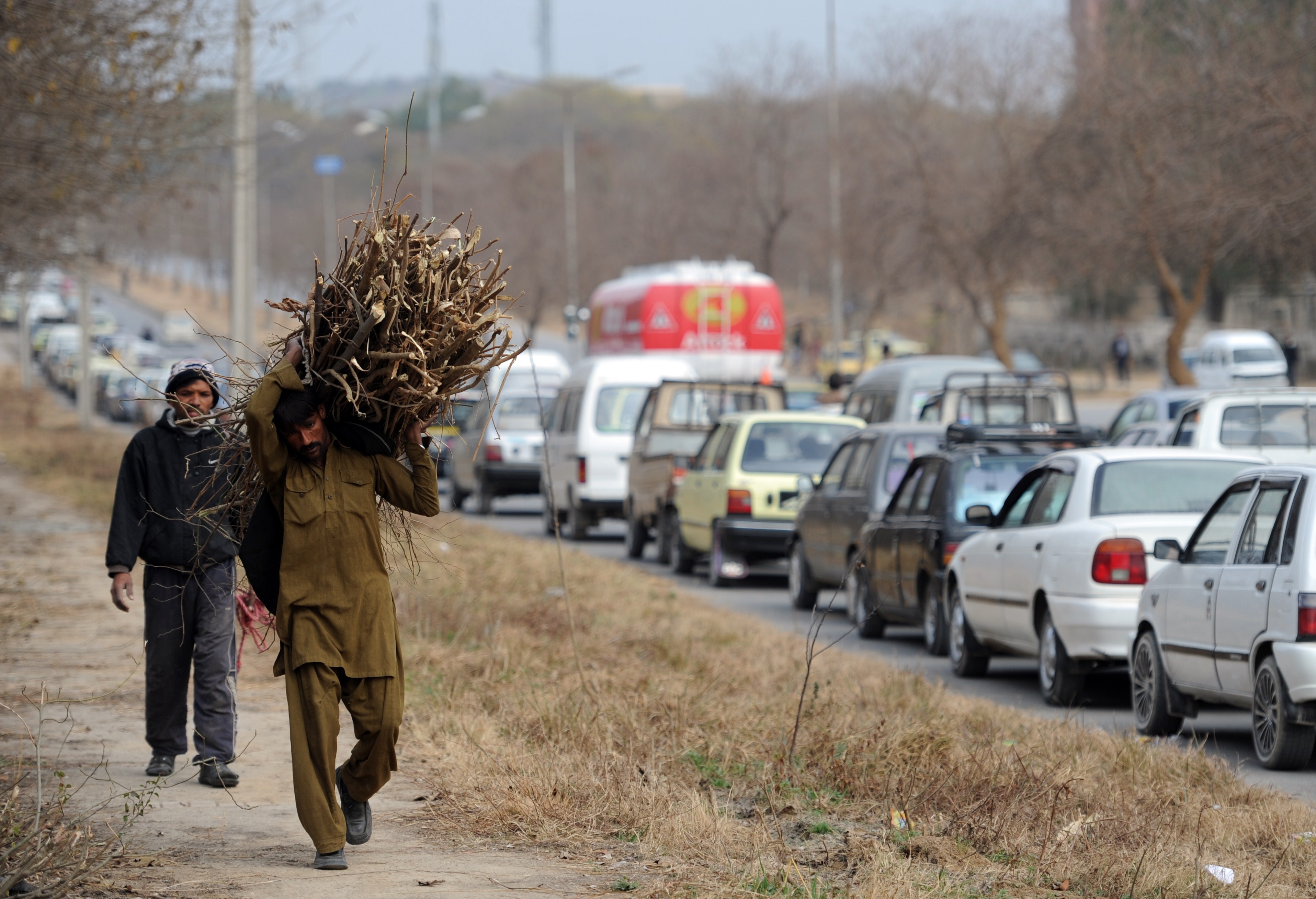 Gas shortages risk reversing ambitious push to expand Pakistan's forests