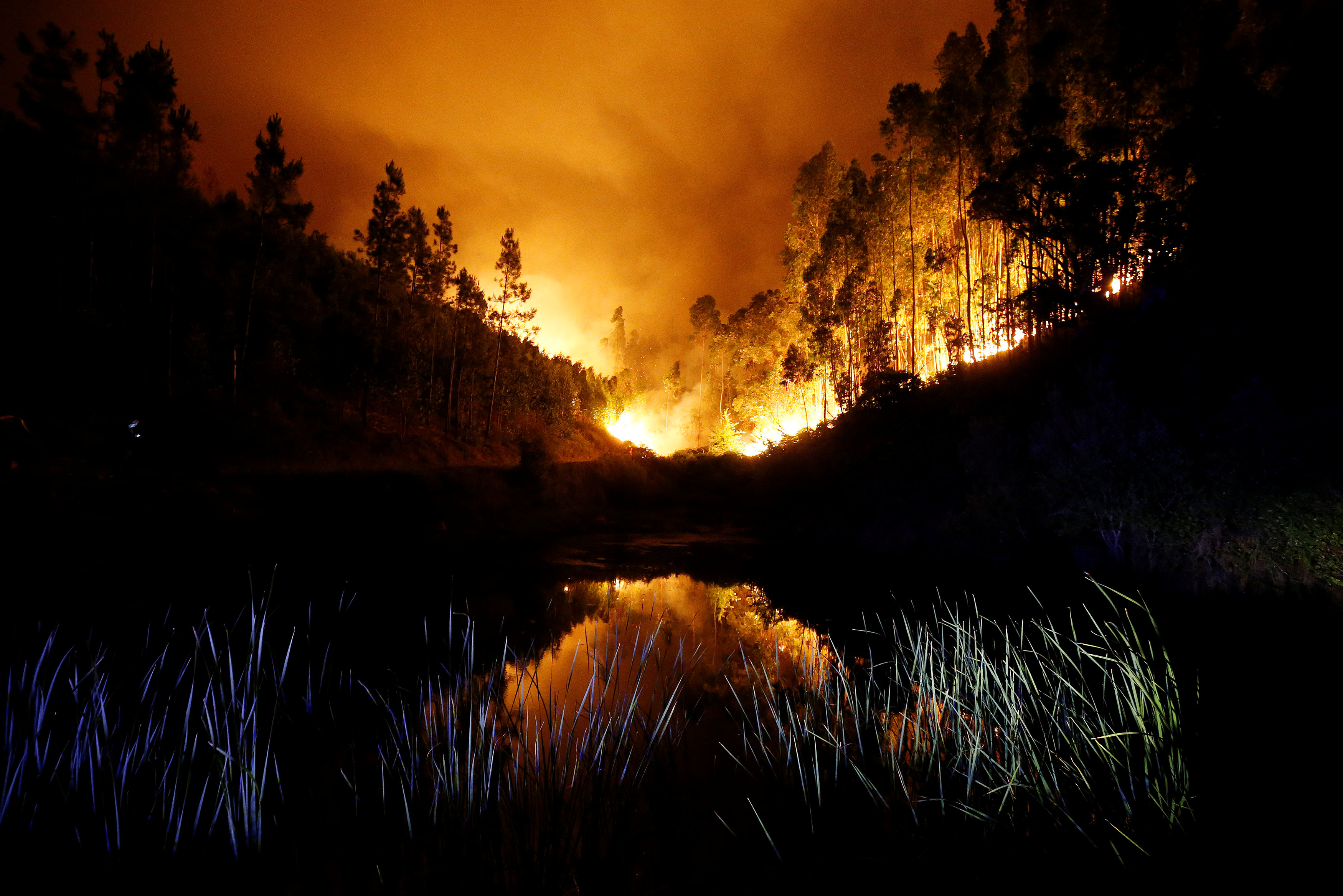 Death toll from forest fire raging in Portugal climbs to 62