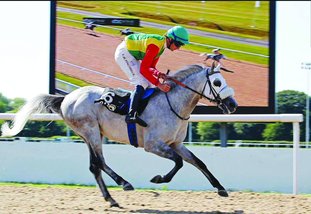 الحصان طامح يحقق فوزه الثالث على التوالي في سباقات الخيل البريطانية