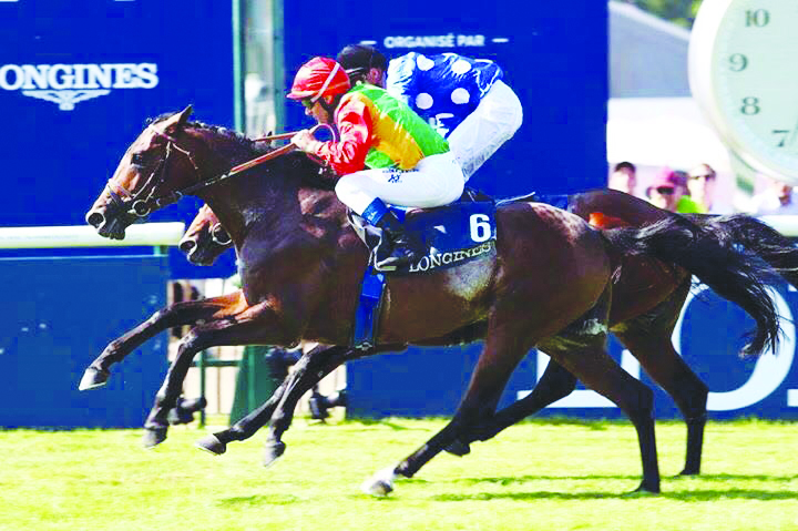 في إنجاز كبير للخيالة السلطانية 

الحصان نفيس يفوز بسباق الداربي الفرنسي