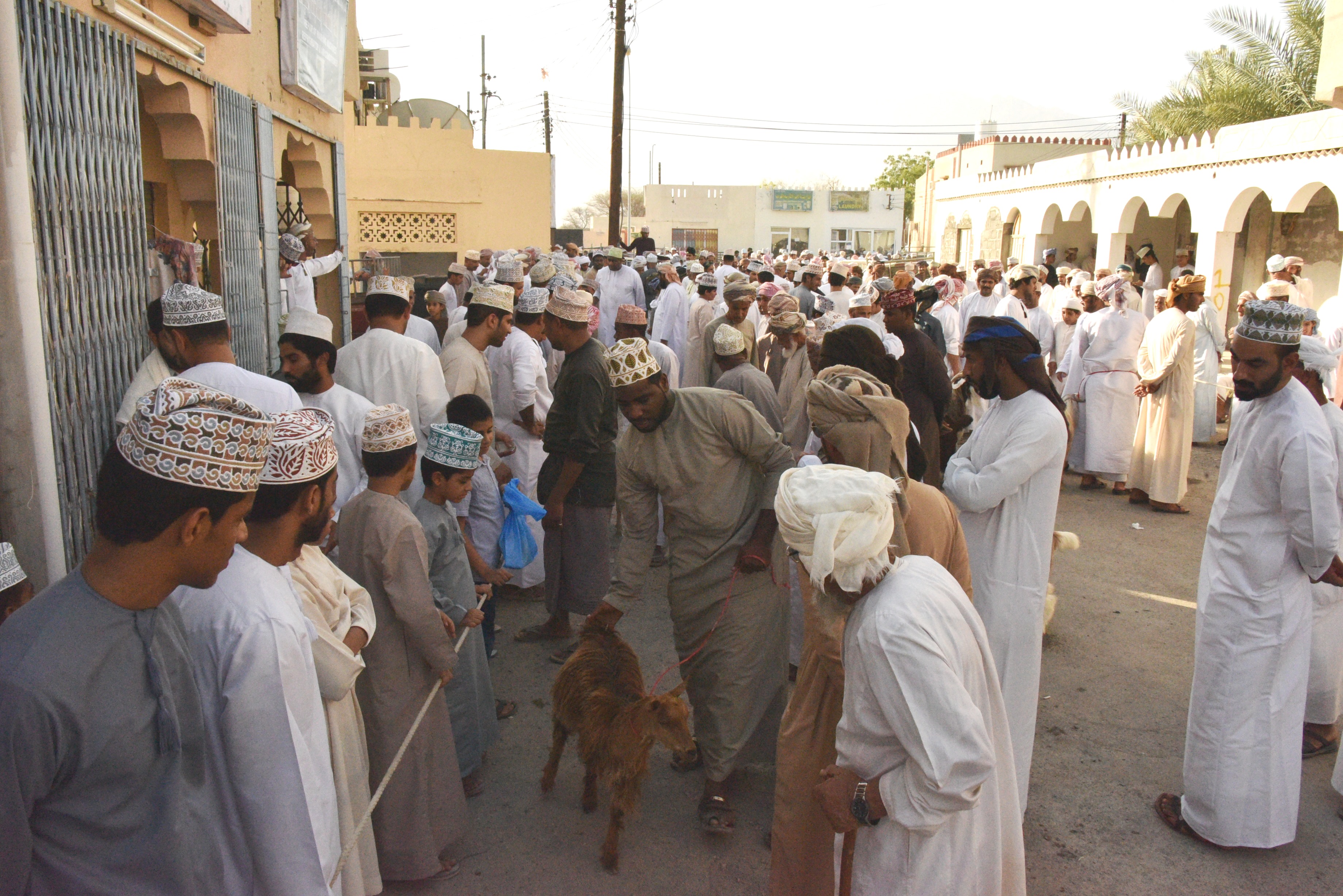 بدء هبطة العيد بولاية وادي المعاول