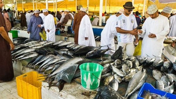 Price of fish decline during Ramadan in Oman
