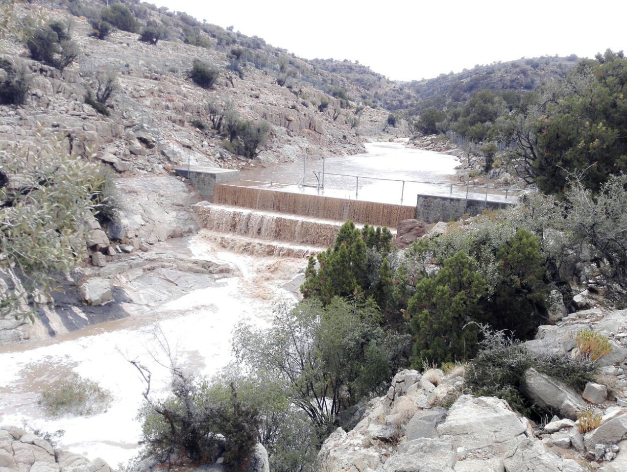 استمرار هطول الأمطار في الجبل الأخضر