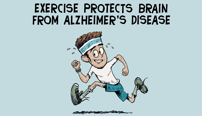 Exercise protects brain from Alzheimer's disease