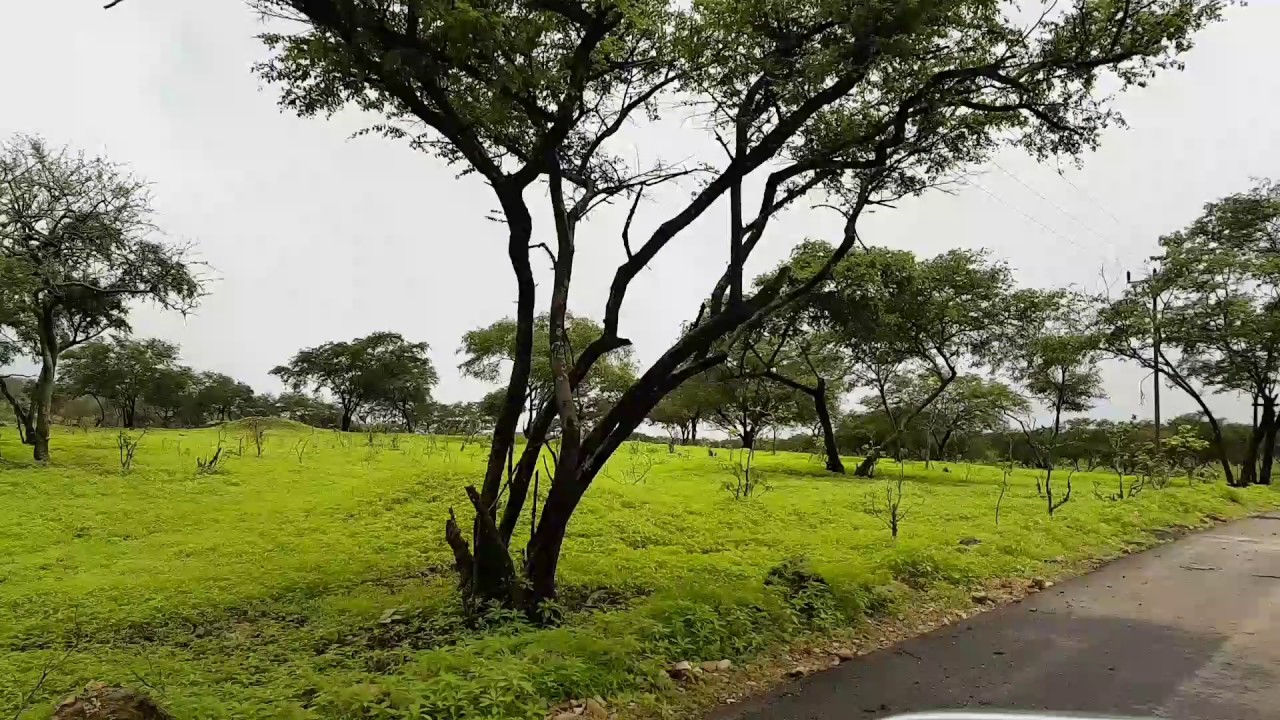 أكثر من 400 ألف زائر لخريف صلالة حتى الإسبوع الفائت