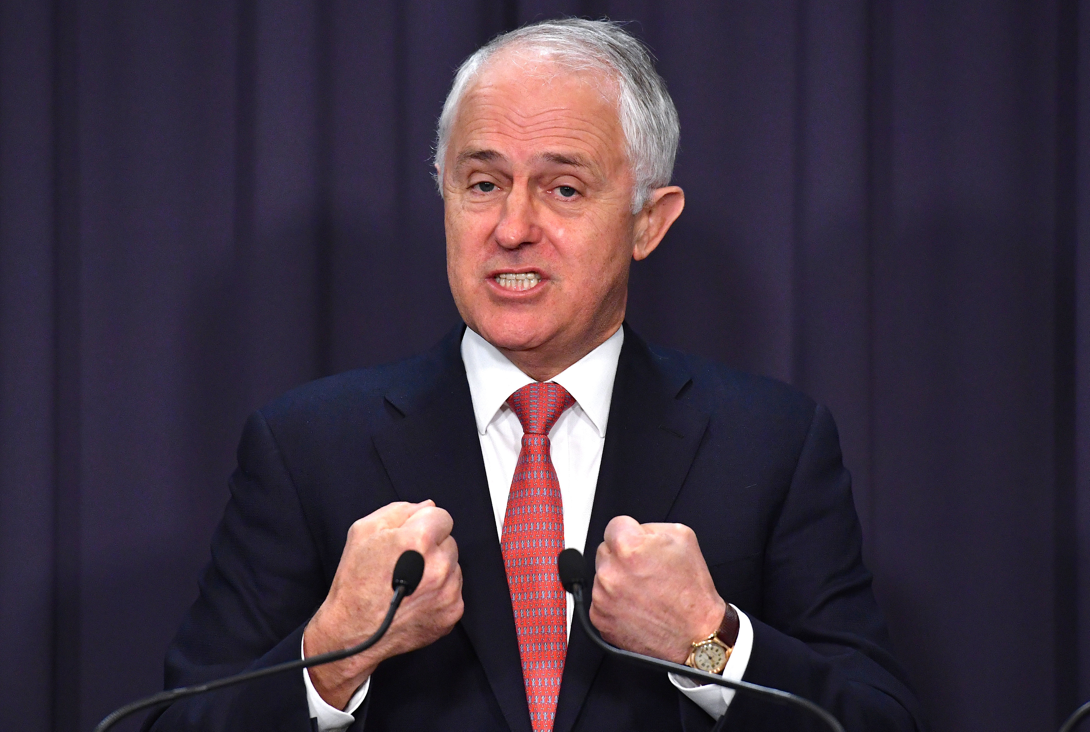 Australia's seventh senator referred to High Court as citizenship crisis deepens