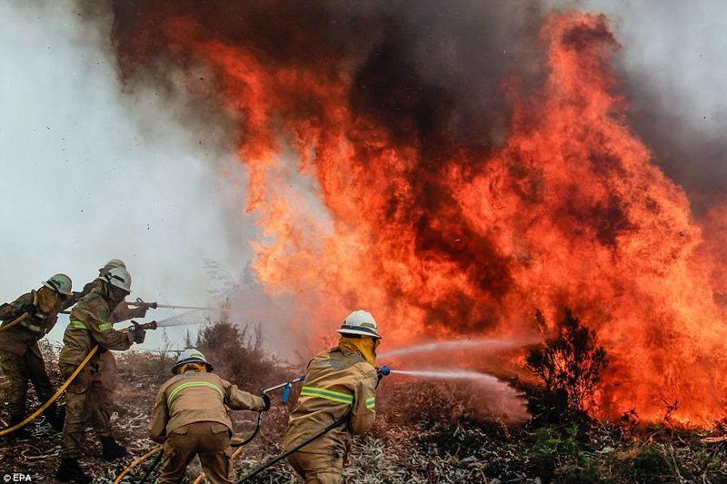 رجال الإطفاء يكافحون "أسوأ موسم حرائق غابات" في تاريخ مقاطعة "كولومبيا البريطانية" بكندا